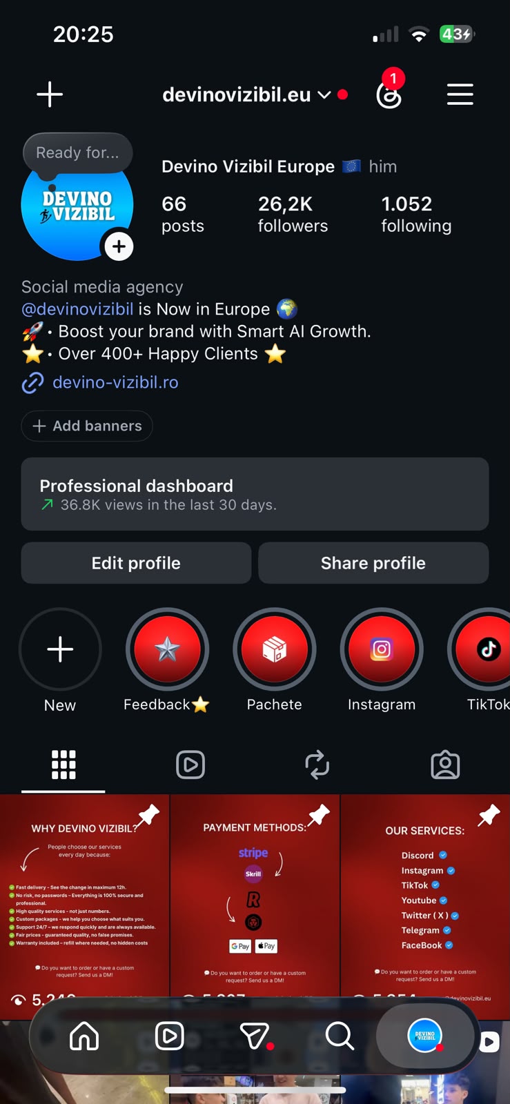 Devino Vizibil Instagram profile